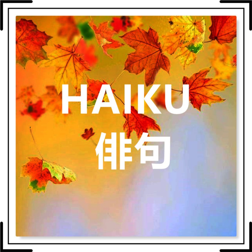 HAIKU​   俳句 (VARIOS AUTORES)