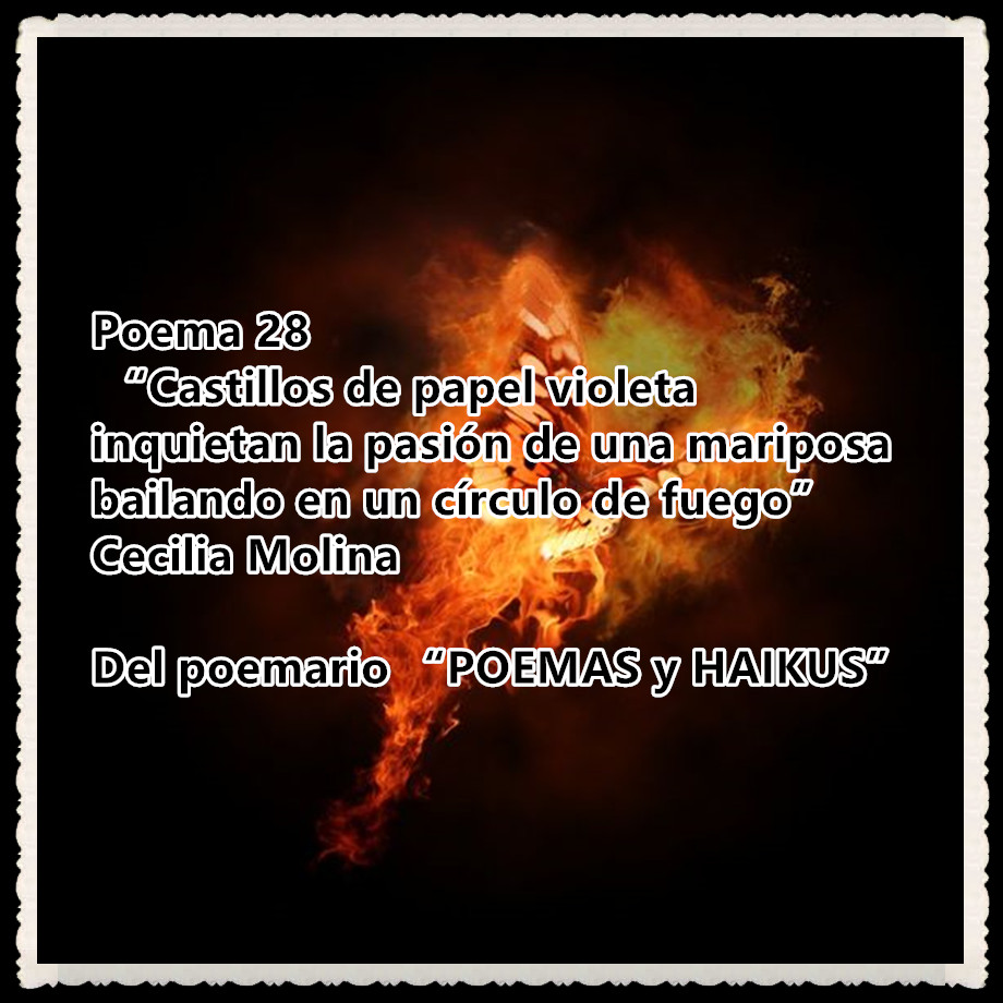 Poema 28
 “Castillos de papel violeta
inquietan la pasión de una mariposa
bailando en un círculo de fuego” 
Cecilia Molina 

Del poemario “POEMAS y HAIKUS” 
