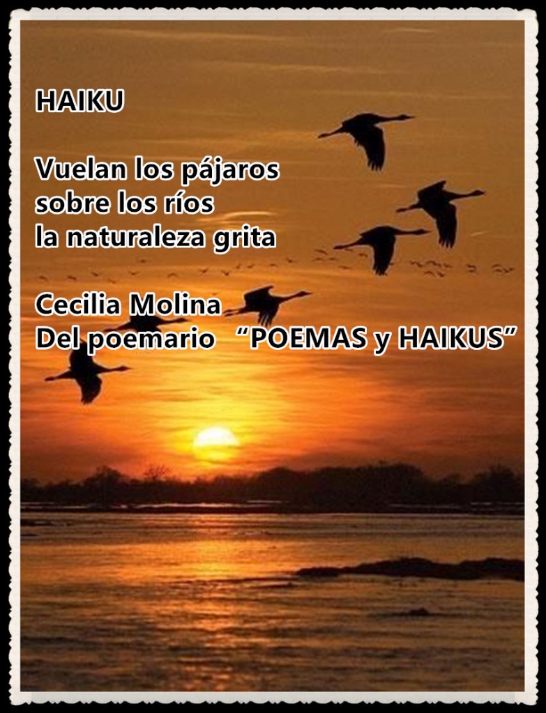 HAIKU

Vuelan los pájaros
sobre los ríos
la naturaleza grita

Cecilia Molina
Del poemario “POEMAS y HAIKUS” 
