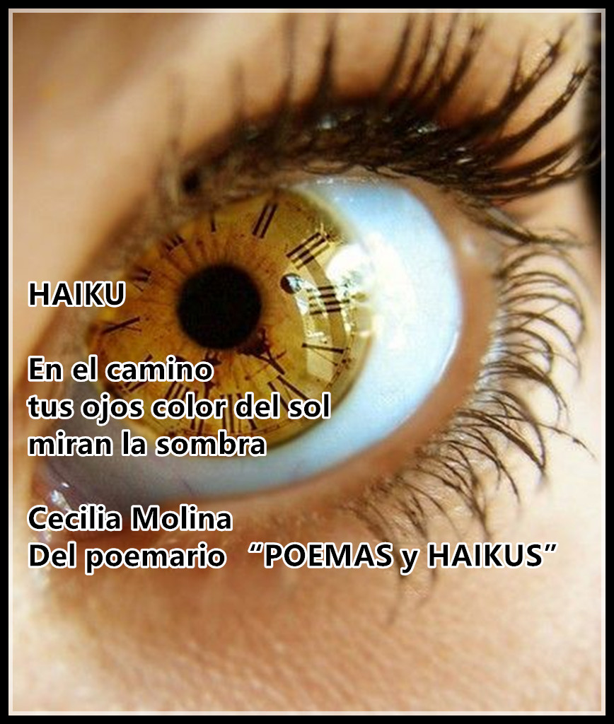 HAIKU

En el camino
tus ojos color del sol
miran la sombra

Cecilia Molina
Del poemario “POEMAS y HAIKUS” 
