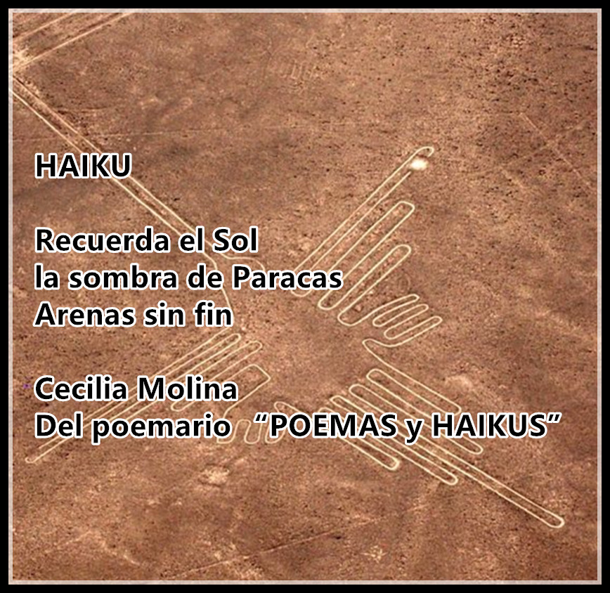 HAIKU

Recuerda el Sol
la sombra de Paracas 
Arenas sin fin

Cecilia Molina
Del poemario “POEMAS y HAIKUS” 
