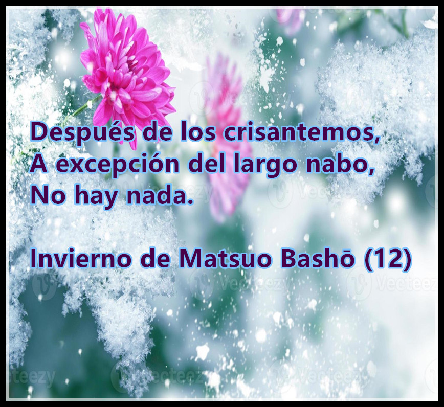 Después de los crisantemos,
A excepción del largo nabo,
No hay nada.

Invierno de Matsuo Bashō (12)